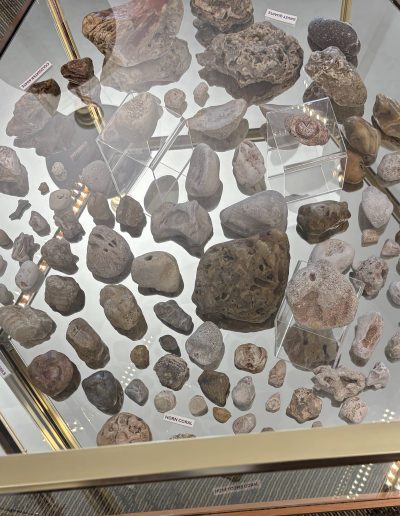 Display of various labeled stones and minerals in a glass cabinet.