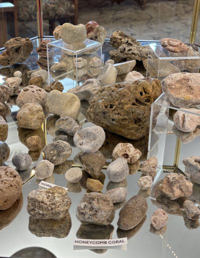 Display of various labeled stones and minerals in a glass cabinet.