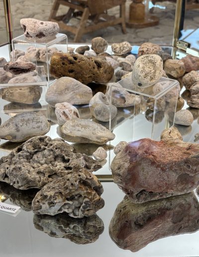 Display of various labeled stones and minerals in a glass cabinet.