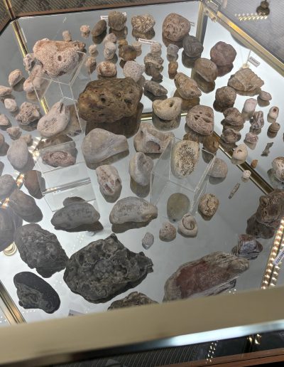 Display of various labeled stones and minerals in a glass cabinet.