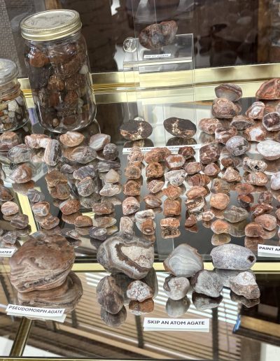 Display of various labeled stones and minerals in a glass cabinet.