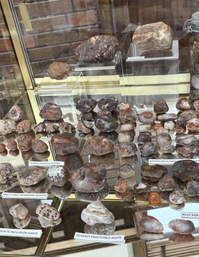 Display of various labeled stones and minerals in a glass cabinet.