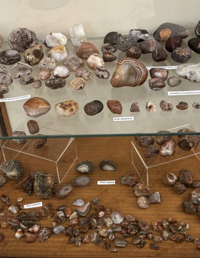 Display of various labeled stones and minerals in a glass cabinet.
